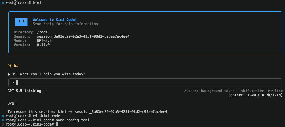 Running Kimi Code with doteb